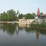 Napraforgó Veresegyház