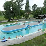 Napraforgó