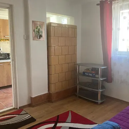 Napraforgo Vendeghaz Apartment