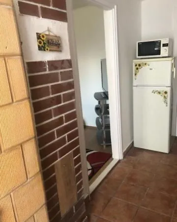 Daire Napraforgo Vendeghaz