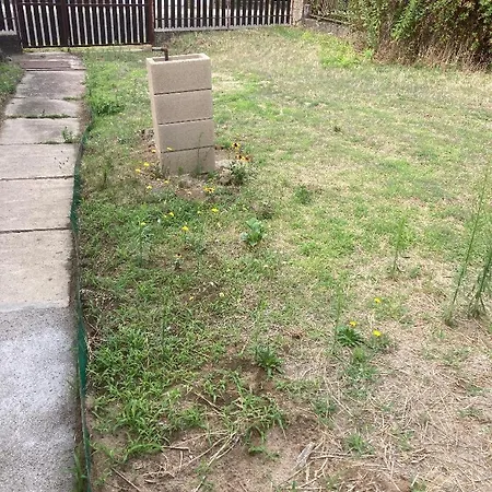 Napraforgo Vendeghaz * Veresegyház