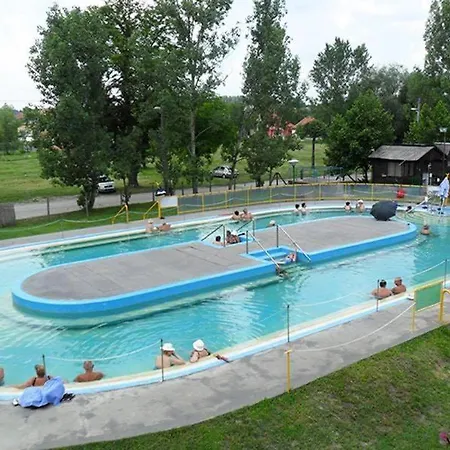 Napraforgo Vendeghaz