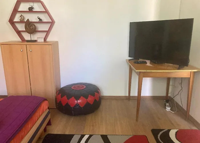 Napraforgo Vendeghaz Veresegyház