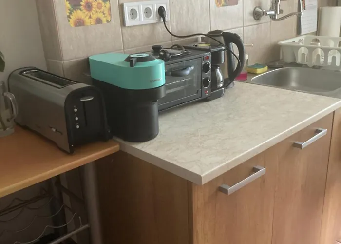 Napraforgo Vendeghaz